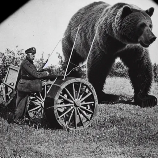 Image similar to a picture of a enormous bear pulling a towed canon on wheel behind him, eastern front, ww 2, historical picture