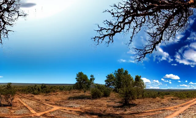 Image similar to panorama of big raindrops flying upwards into the blue sky from a dried up river in a desolate land, dead trees, blue sky, hot and sunny highly-detailed, elegant, dramatic lighting, artstation, 4k, cinematic landscape, photograph by Elisabeth Gadd