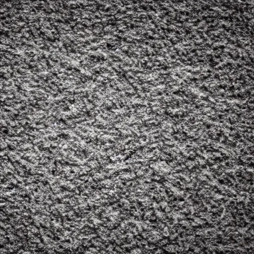 Image similar to High quality ground texture 4k detail