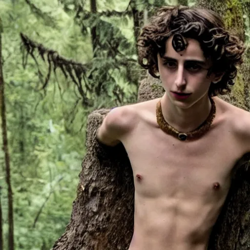 Prompt: timothee chalamet with loincloth, ominous, eerie forest in background