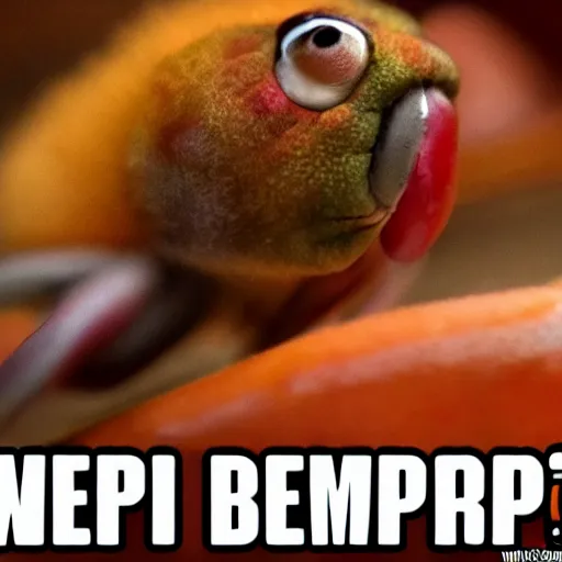 Prompt: wimp womp going bep bep, skrimp!