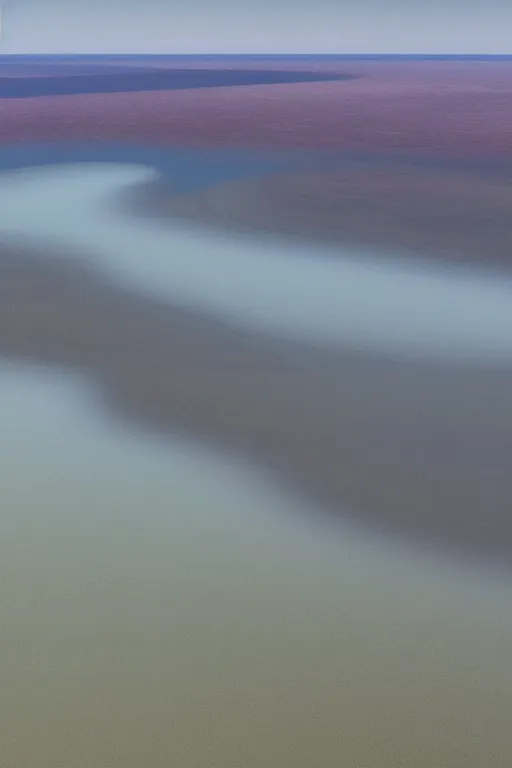 Prompt: realistic full height cinematic rothko picture stunning dry river delta aerial view of dense swampland by denis villeneuve and hiroshi yoshida, fluid simulation in houdini, distant mountain range, hyperrealism, moorland, matte painting, trending on artstation, 8 k very hight detail, rendered in octane