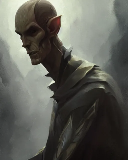 Image similar to character portrait of a slender half - elven man, by greg rutkowski, mark brookes, jim burns trending on artstation