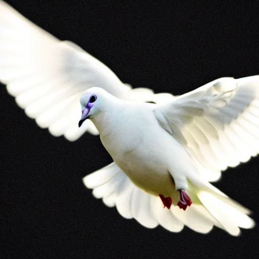 Image similar to a realistic photo of a white dove on a solid black background, high contrast, 8k, film grain, highly detailed