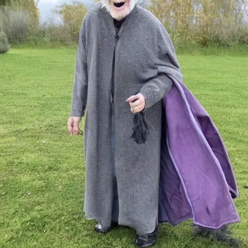 Image similar to an old bald mad wizard with bushy grey eyebrows, long grey hair and wearing a grey wizard hat, disheveled, wise old man, wearing a purple detailed coat, a bushy grey beard, sorcerer, he is yelling and laughing