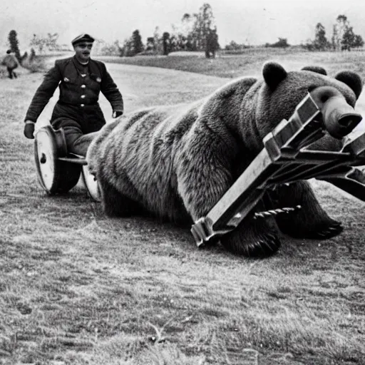 Prompt: a picture of a giant bear pulling a towed canon on wheel, eastern front, ww 2, historical picture