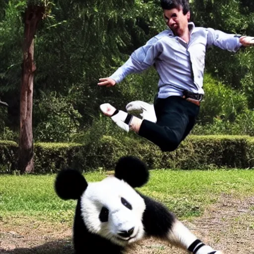 Image similar to Handsome French man falling as it gets kicked by a cute jumping stuffed panda