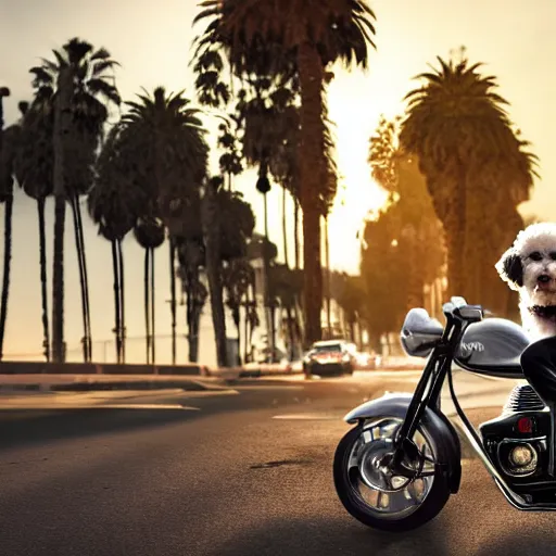 Image similar to a photorealistic image of a white bichon frise puppy dog riding a black motorcycle in Hollywood at sundown. Palm trees in the background. Paws on handlebars. This 4K HD image is Trending on Artstation, featured on Behance, well-rendered, extra crisp, features intricate detail and the style of Unreal Engine.