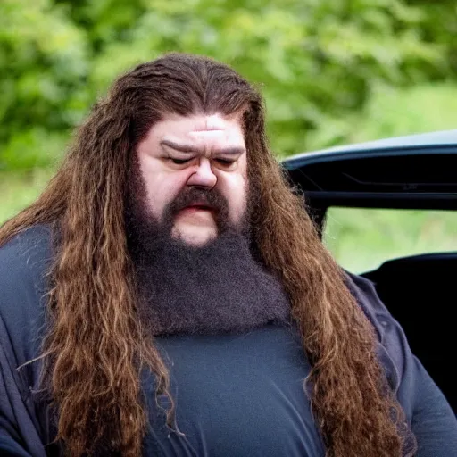 Prompt: hagrid driving seen from the front