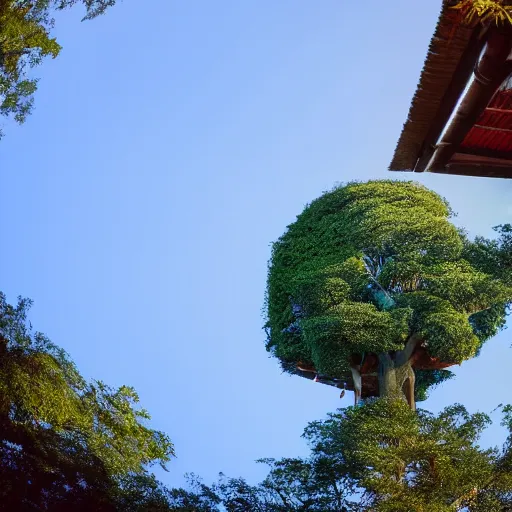 Image similar to a house with a tree growing on it's roof, the photo was taken from the ground looking up at the tree, realistic, ultra high detail, ambient lighting, 8k.