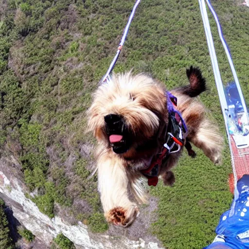 Image similar to a hairy dog with a big parachute jumping from a cliff