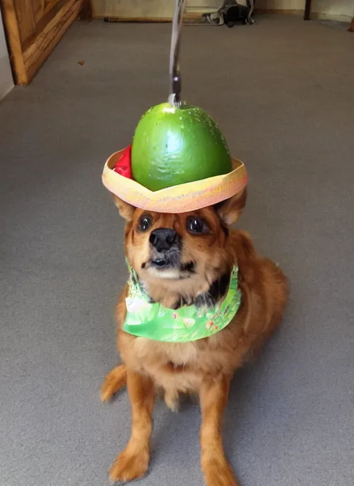 Prompt: pickle wearing a sombrero