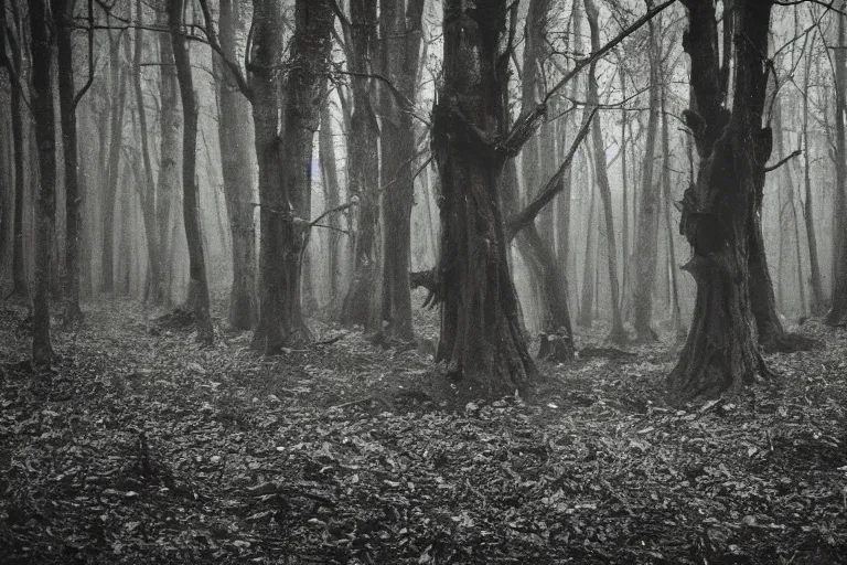 Image similar to photo of monsters lurking on the forest, unsettling atmosphere, eerie, bizarre, horror