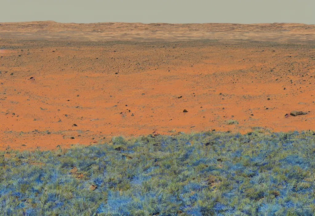 Image similar to mars landscape with blue vegetation