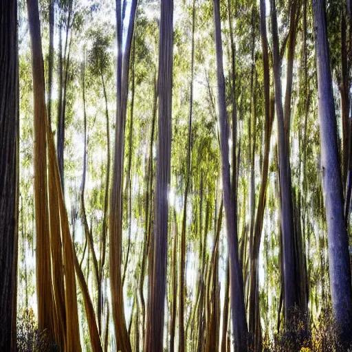 Image similar to long exposure photograph of eucalyptus trees, strong wind, back light, dslr, photographed by uta barth