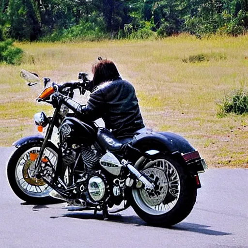 Prompt: tiger on a Harley Davidson on the road, funny picture