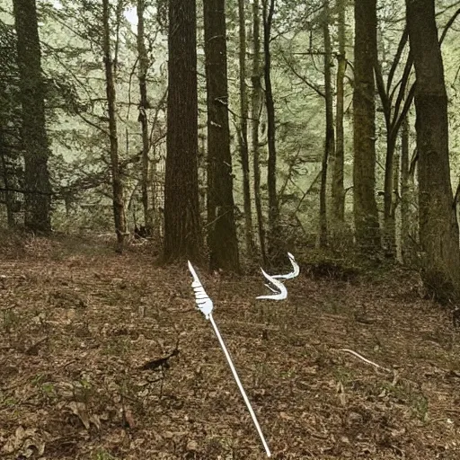 Image similar to you spot two dead horses spawled about fifty feet ahead of you, blocking the path. each has several black - feathered arrows sticking out of it. the woods press close to the trail here, with a steep embarkment and dense thickets on either side.