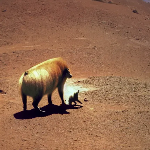 Prompt: photo of princess diana riding a capybara on mars, high resolution, 3 5 mm lens