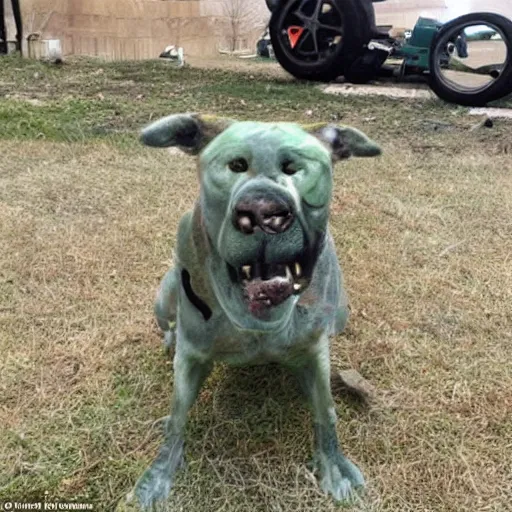 Image similar to lol