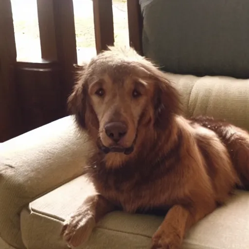 Image similar to older handsome lord richard is sitting gracefully on a sofa