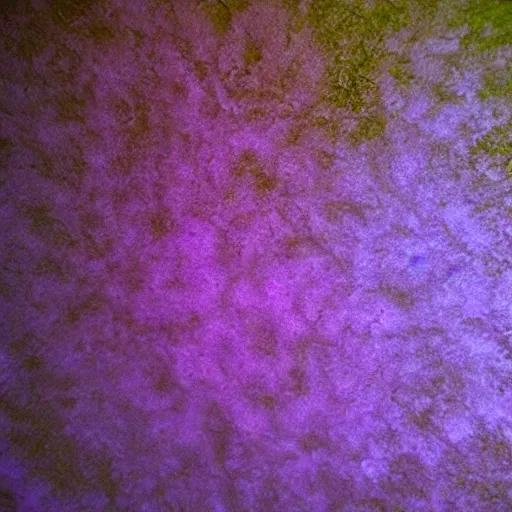 Prompt: beautiful mold glowing ethereal heavenly colors