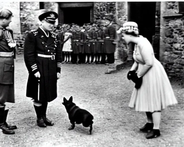 Image similar to ultra wide 1 9 4 6 blurry historical photo of a single german general bowing to a young queen elizabeth in a french village, her corgis are nearby highly detailed, sharp focus