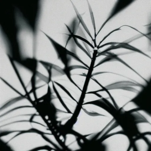 Image similar to a film noir about a killer plant, color film still
