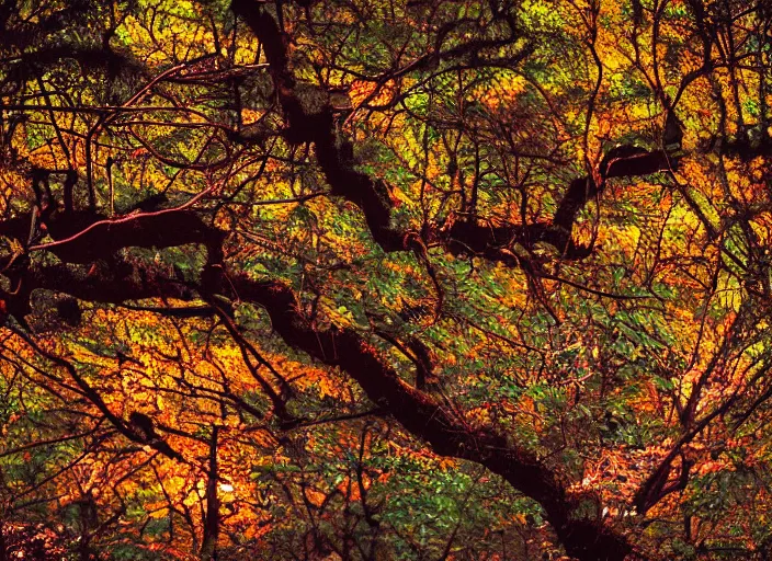 Image similar to photo of the beast with a million eyes, fujifilm velvia 5 0