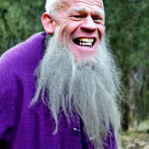 Image similar to john cena as an old druid wizard, bald, bushy grey eyebrows, long grey hair, disheveled, wise old man, wearing a grey wizard hat, wearing a purple detailed coat, a bushy grey beard, sorcerer, he is a mad old man, laughing and yelling