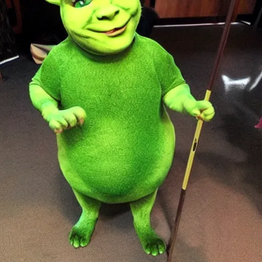 Image similar to a cat dressed as Shrek