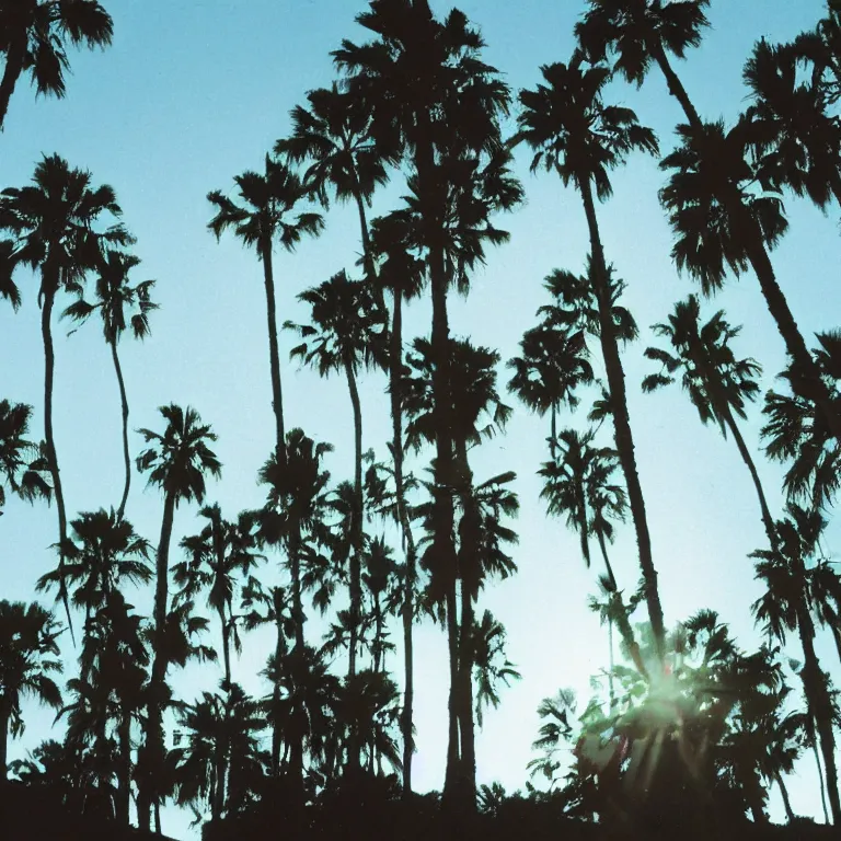 Image similar to boards of canada palm sightseeing album cover, film, soft lighting gradient. no text, no watermarks.