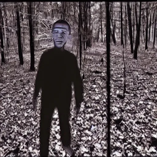 Image similar to Obama caught on trail cam footage, creepy distorted night cam