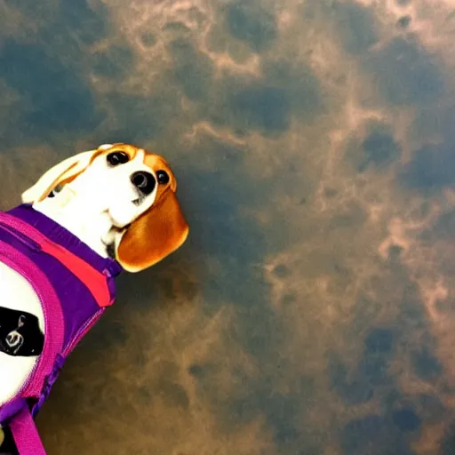 Prompt: beagle dog in space