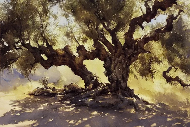 Prompt: watercolor painting of old olive tree in portugal, ambient lighting, art by hans gude, art by hans dahl, by jesper ejsing, art by anders zorn, wonderful masterpiece by greg rutkowski, cinematic light, american romanticism by greg manchess, creation by tyler edlin