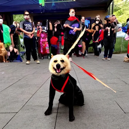 Image similar to photo of a dog wearing a ninja uniform throwing a Chinese-star