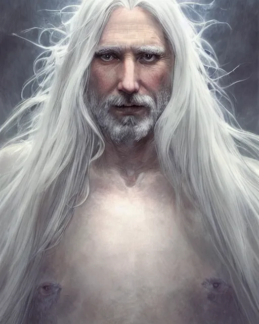 Prompt: portrait of 4 0 - year - old man with long white hair with a pale complexion, clear face, pointed face and grey eyes, hyper realistic face, beautiful eyes, fantasy art, in the style of greg rutkowski, intricate, alphonse mucha, hyper detailed, smooth