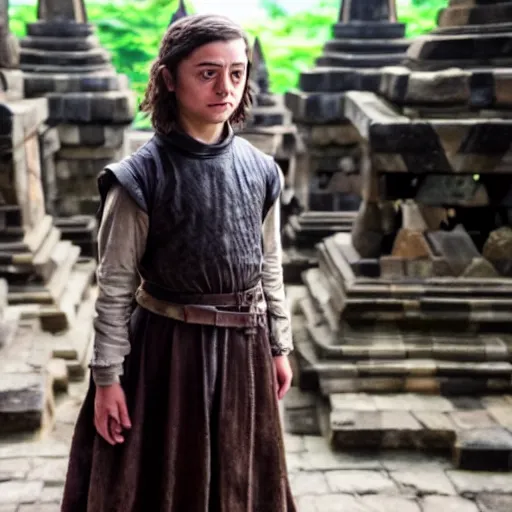 Prompt: young arya stark, photograph 3 5 mm, shot from game of thrones, at borobudur, official media