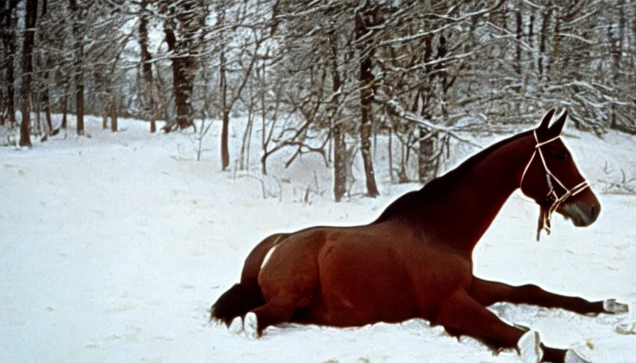 Prompt: 1 9 6 0 s movie still close up of marcus aurelius with his horse frozen to death under the snow by the side of a river with gravel, pine forests, cinestill 8 0 0 t 3 5 mm, high quality, heavy grain, high detail, texture, dramatic light, anamorphic, hyperrealistic, detailed hair, foggy