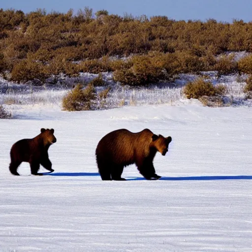 Image similar to Award Winning Nature photo Brown Bear Mothers Rabbits in snow in the mexican desert