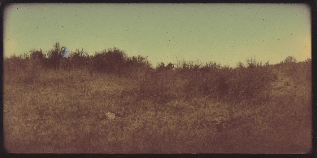 Image similar to polaroid photo of abandoned landscape, vintage colors, slight color bleed