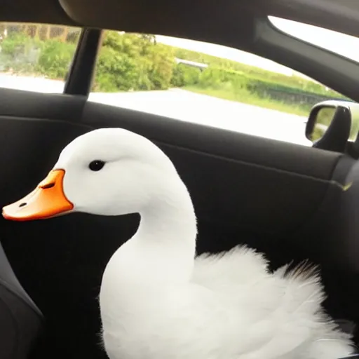 Prompt: a white duck, sitting in the front seat of a ferrari