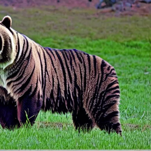 Prompt: a bear tiger hybrid