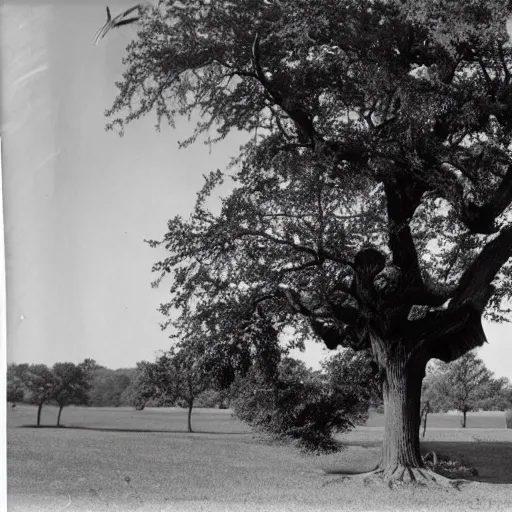 Prompt: a tree 1930 S- 100000