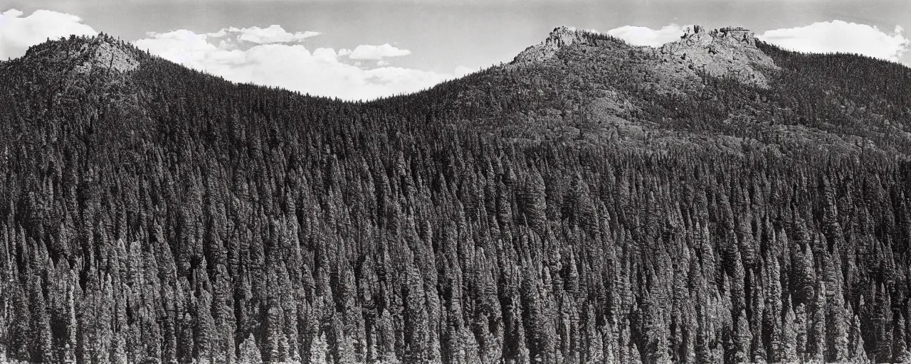 Image similar to the old american west, hills and forest, cloud shadow, vivid, photograph by ansel adams