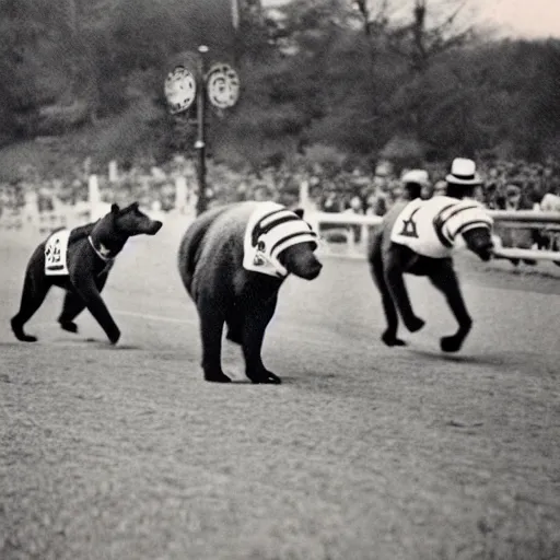 Image similar to bears running in the kentucky derby, vintage photo