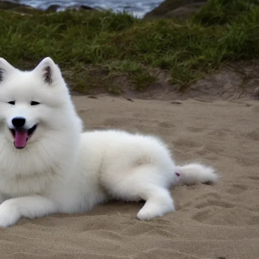 Prompt: a photo of a samoyed dog on a beach