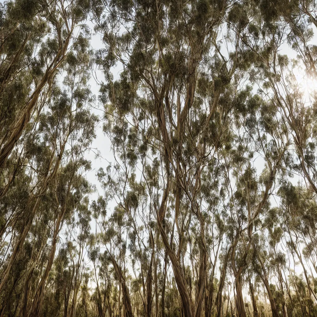 Prompt: long exposure photograph of eucalyptus trees, strong wind, back light, sony ar 7 ii, photographed by julie blackmon