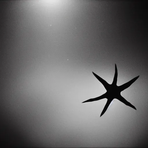 Image similar to North korean starfish monster, kaiju-eiga, thriller, monochrome, film grain, flare, backlit