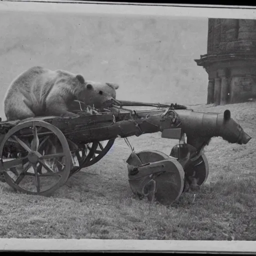 Image similar to a picture of a bear pulling a big canon behind him. the canon is harnessed to the horse and towed, ww 2, historial picture, western front