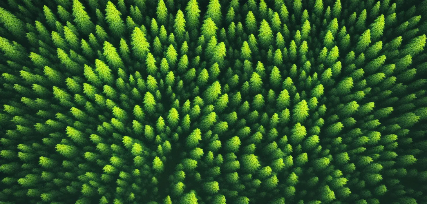 Image similar to forest, 8 k, incredible, vector art, octane render, cinematic, fabulous, hyper detailed, random view